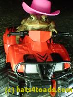 /home//u458753944/public_html/sourcegallery//Roxborough Toad Detour/2013-2019/2017/P3250666.JPG